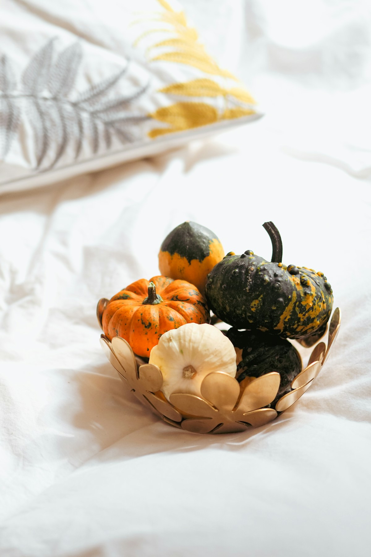 Bamboo Cotton Bud Holder